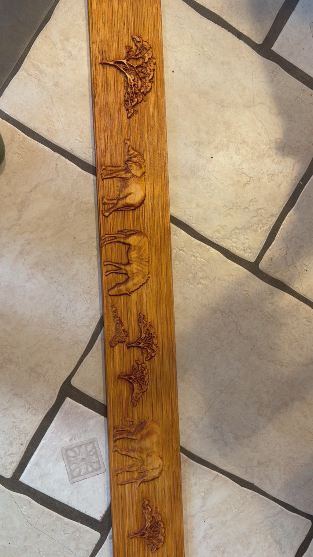 Safari Animal Wood Trim – Rustic Wildlife Door & Wall Decor